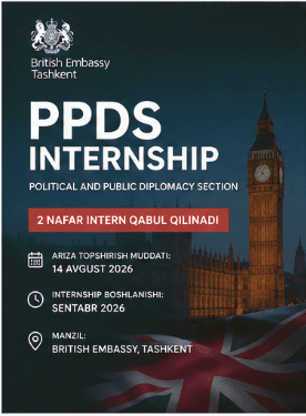 British Embassy PPDS Internship